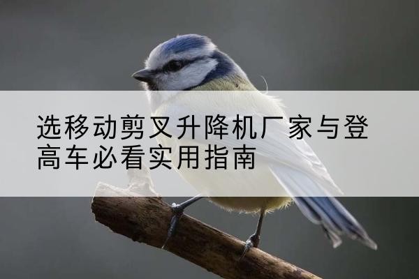 水磨沟电动升降机厂家-选移动剪叉升降机厂家与登高车必看实用指南