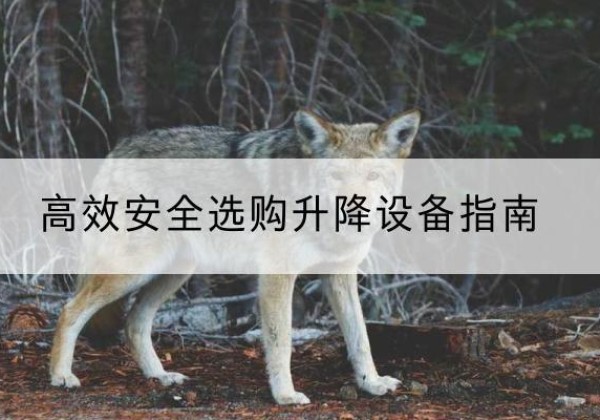 水磨沟升降货梯厂家推荐-*安全选购升降设备指南